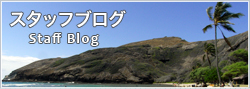 当社のスタッフが綴るブログです。是非お読みください。